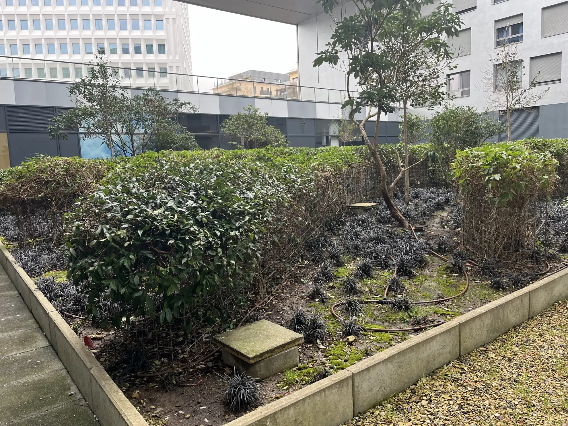 Spacieux studio de 37 m² à Velizy-Villacoublay avec parking et loggia, idéal investisseur 