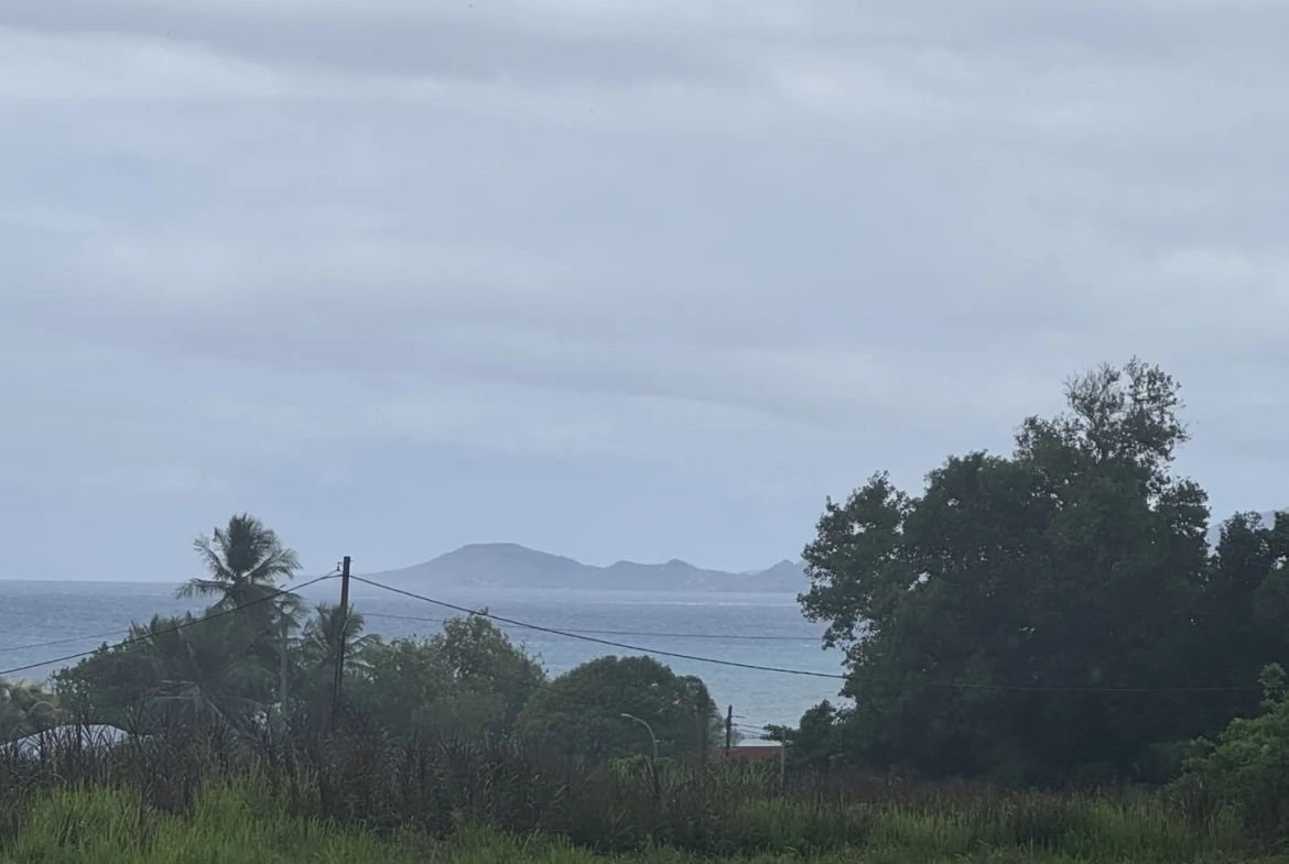 Terrains à vendre à Capesterre-Belle-Eau - Vue mer et montagne, viabilisés 