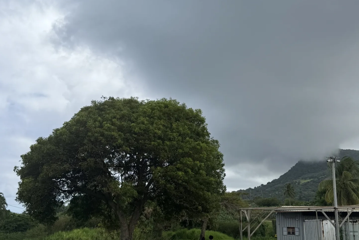 Terrains à vendre à Capesterre-Belle-Eau - Vue mer et montagne, viabilisés 