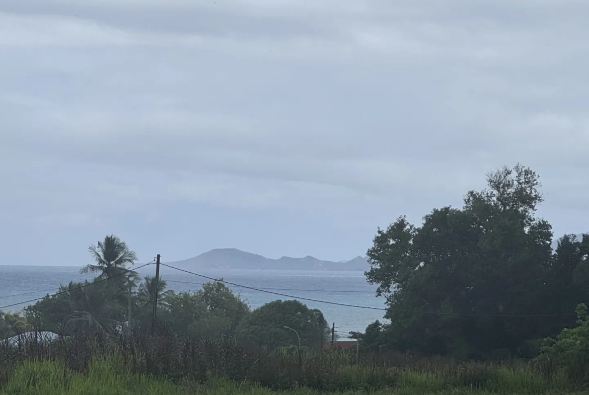 Terrains à vendre à Capesterre-Belle-Eau - Vue mer et montagne, viabilisés 