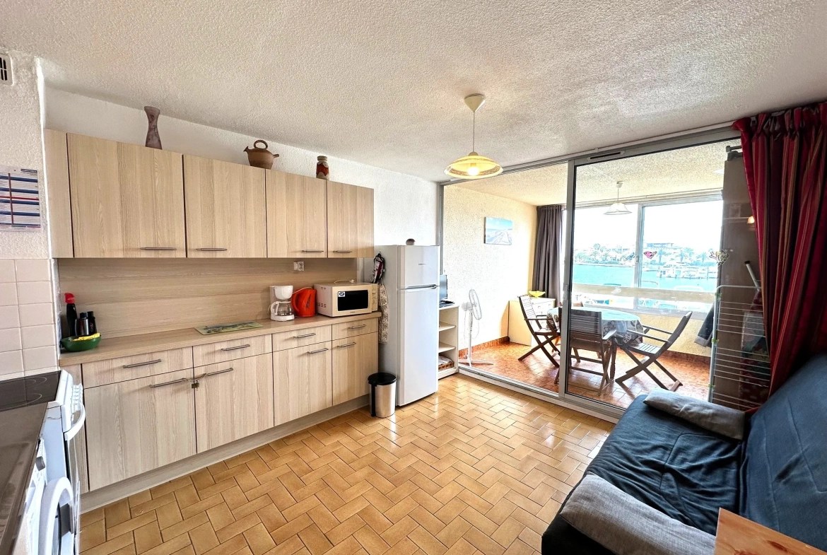 Travaux à prévoir — Studio avec vue dégagée sur la marina à Saint-Cyprien-Plage 
