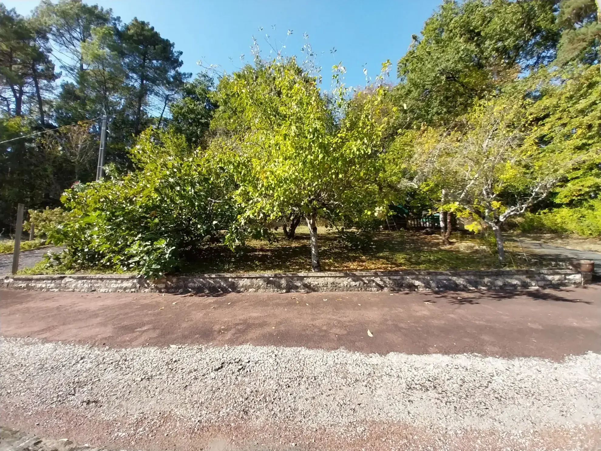 Magnifique maison familiale à Chancelade avec vue sur la forêt, 240m² habitables 