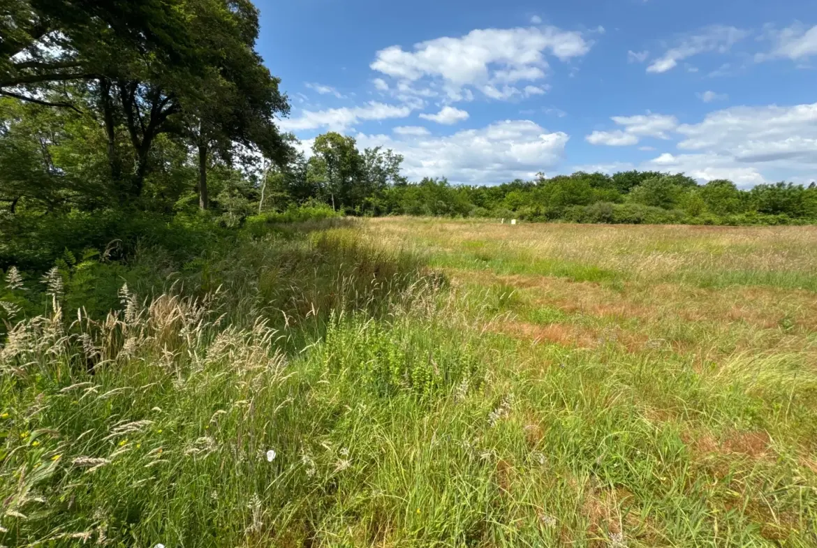 Terrain constructible de 1714 m² à Montfort en Chalosse pour 55 000 euros 