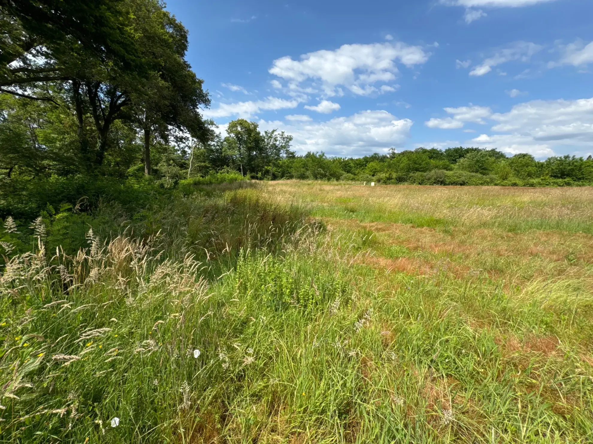 Terrain constructible de 1714 m² à Montfort en Chalosse pour 55 000 euros 