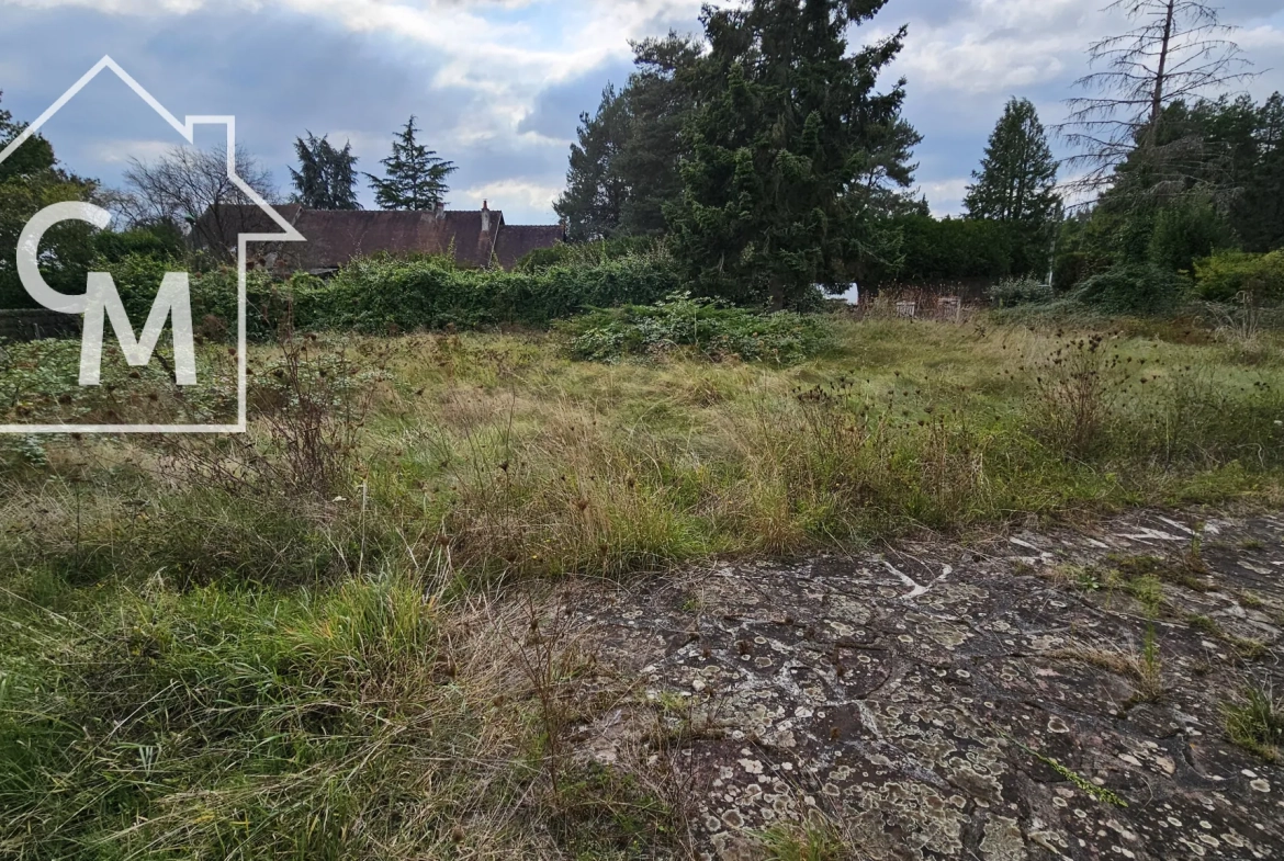 Maison familiale à Bouzy la forêt avec jardin et terrasse exposée sud-ouest 