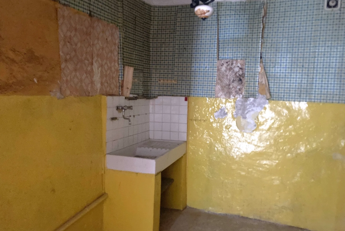 Charmant ensemble immobilier avec studio et duplex à rénover à Saint-Bauzille-de-Putois 