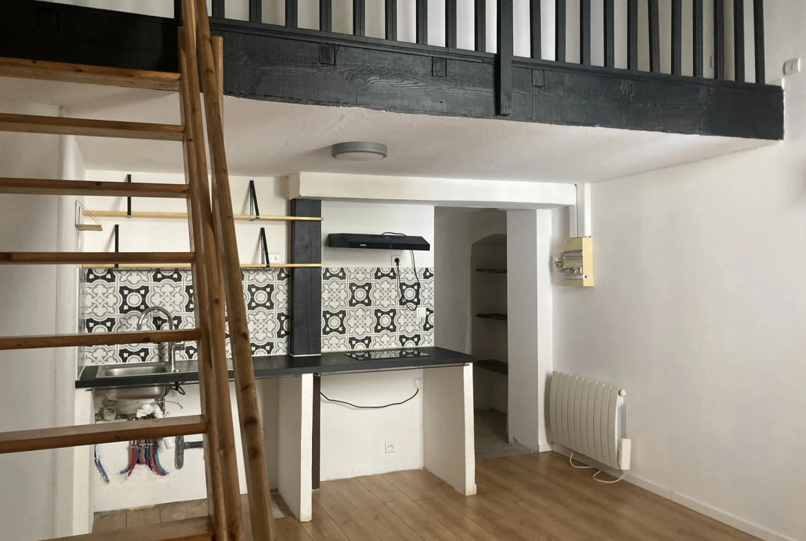 Charmant ensemble immobilier avec studio et duplex à rénover à Saint-Bauzille-de-Putois 