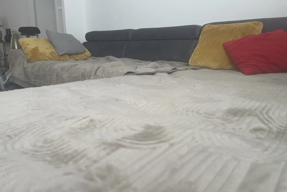 Appartement 91 m2 avec terrasse et cachet authentique au cœur de Carcassonne 