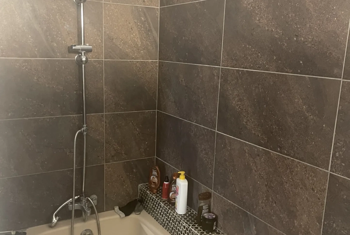 Appartement 91 m2 avec terrasse et cachet authentique au cœur de Carcassonne 