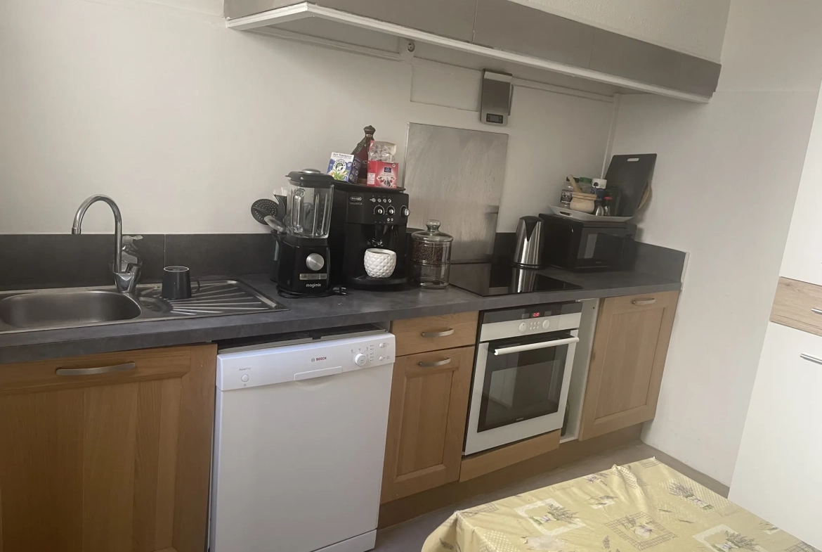 Appartement 91 m2 avec terrasse et cachet authentique au cœur de Carcassonne 