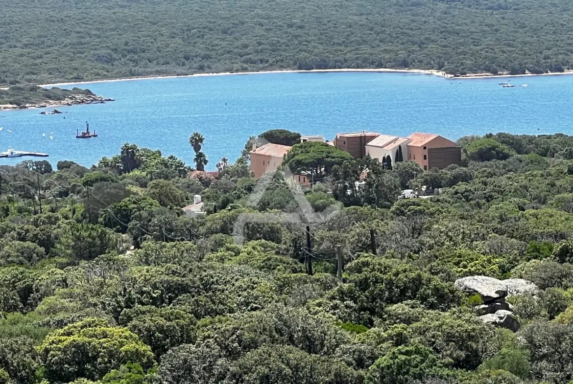 Appartement de luxe avec accès direct à la plage en Corse du Sud 