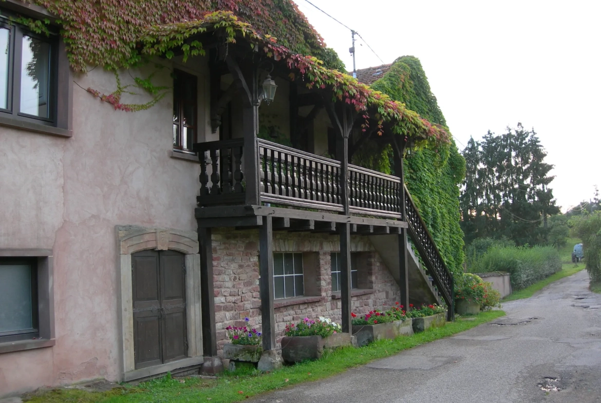 Belle maison avec grand jardin à Sarre-Union - Opportunité à saisir 