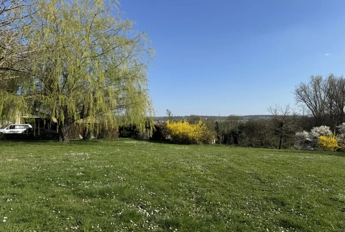 Belle maison avec grand jardin à Sarre-Union - Opportunité à saisir 