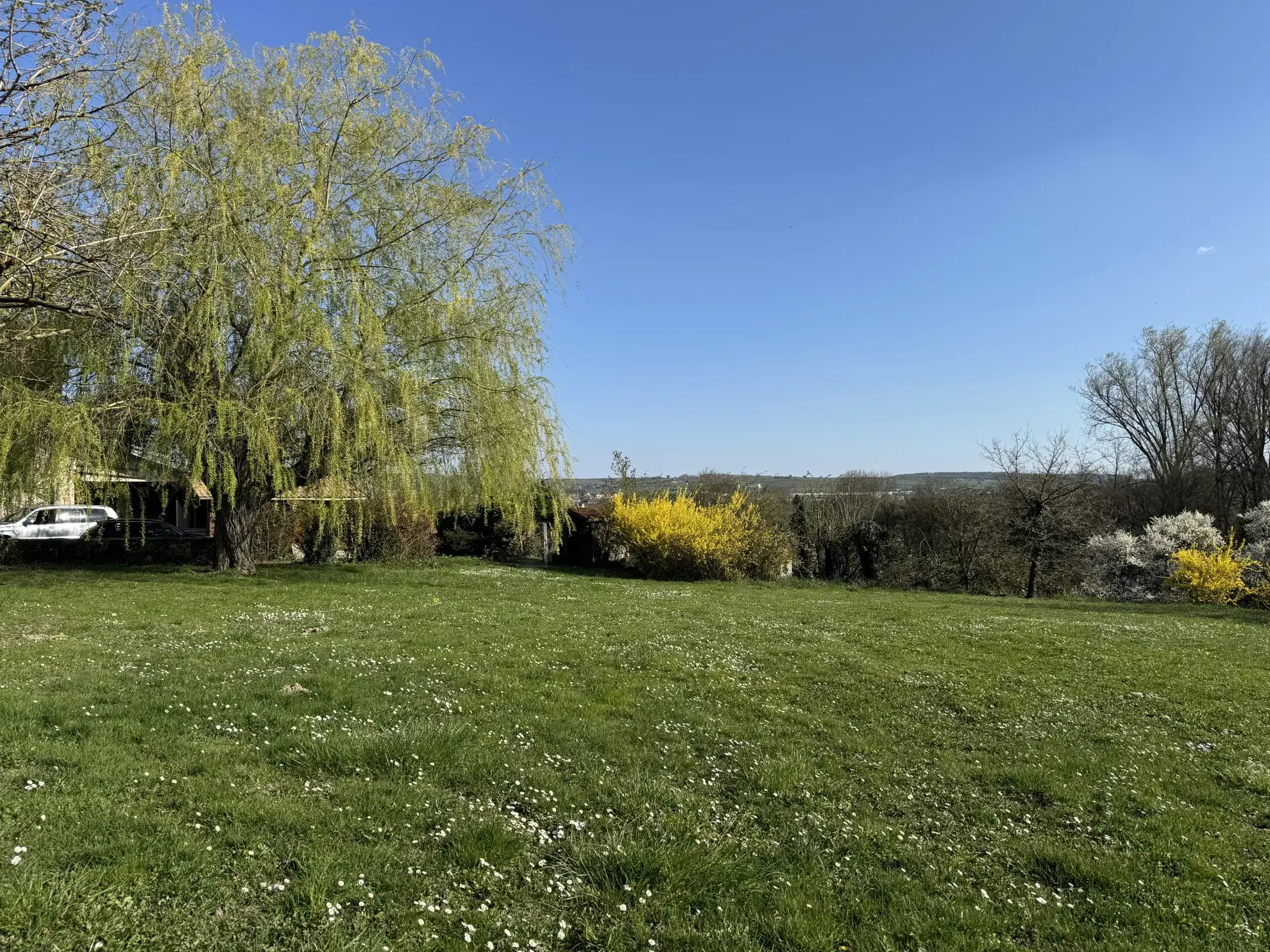 Belle maison avec grand jardin à Sarre-Union - Opportunité à saisir 