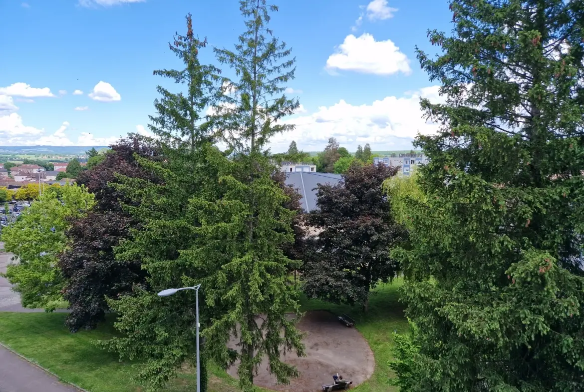 Appartement T2 avec garage au centre-ville d'Autun - 43,5 m² 