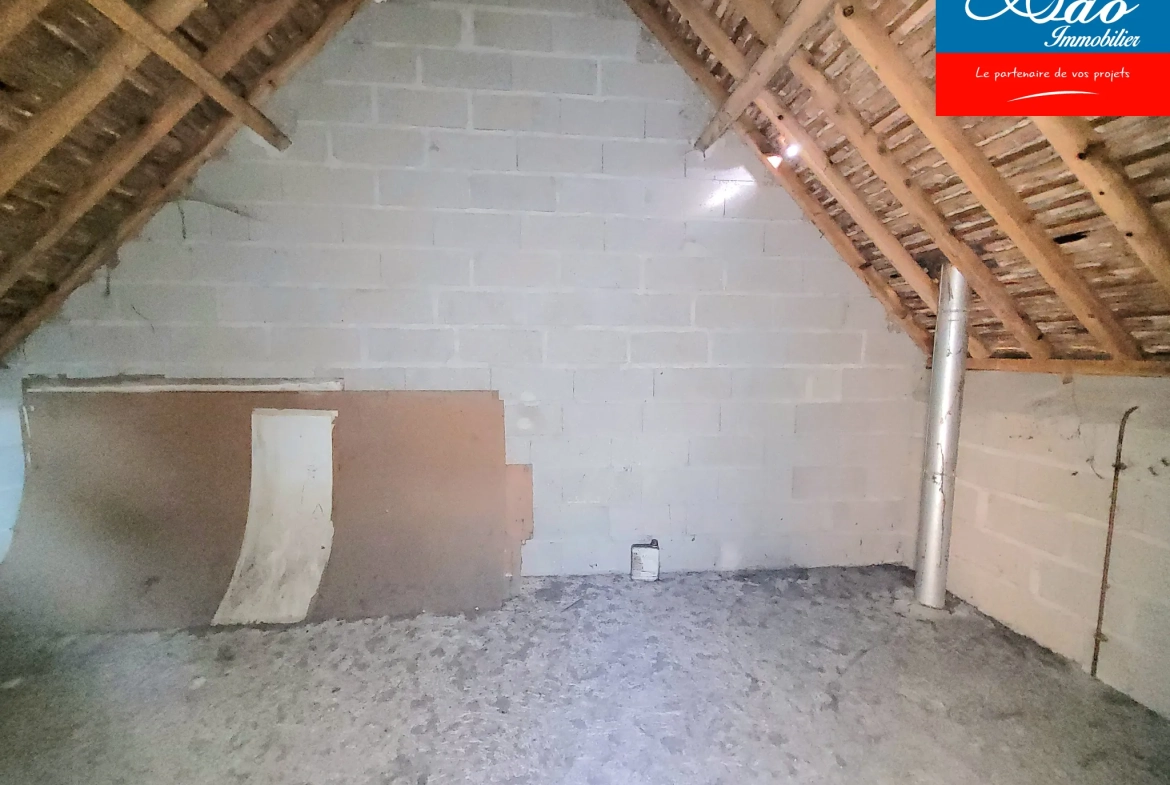 Maison à rénover de 92 m² avec terrain, située dans le Pays d'Othe à Flacy 