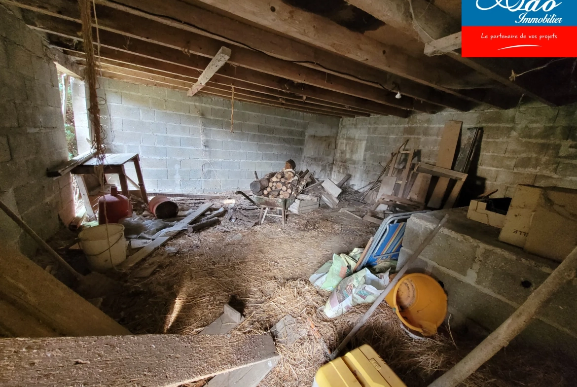 Maison à rénover de 92 m² avec terrain, située dans le Pays d'Othe à Flacy 