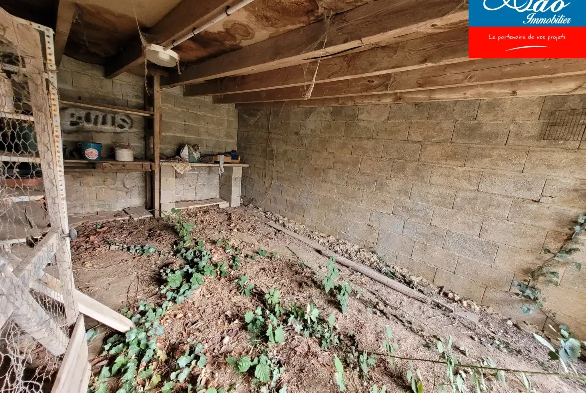 Maison à rénover de 92 m² avec terrain, située dans le Pays d'Othe à Flacy 