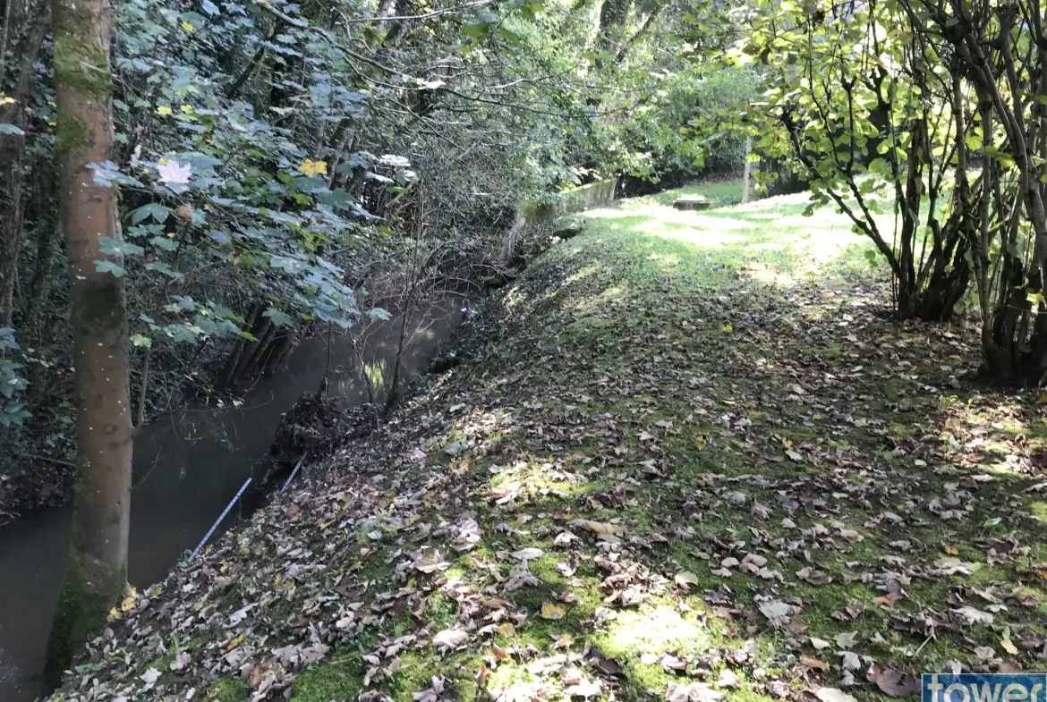 Vente d'un pavillon traditionnel de 125m² avec sous-sol et terrain arboré à Agen 