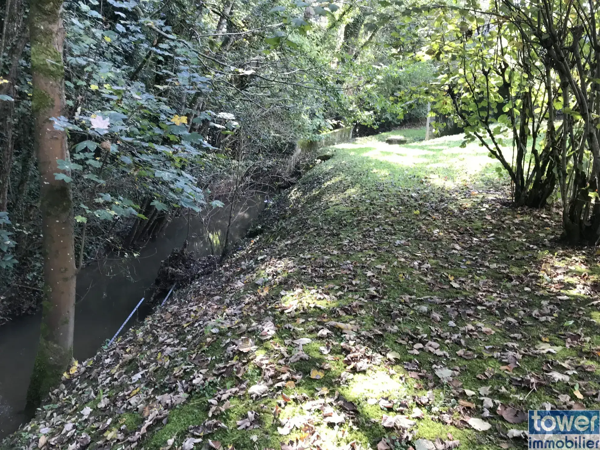 Vente d'un pavillon traditionnel de 125m² avec sous-sol et terrain arboré à Agen 
