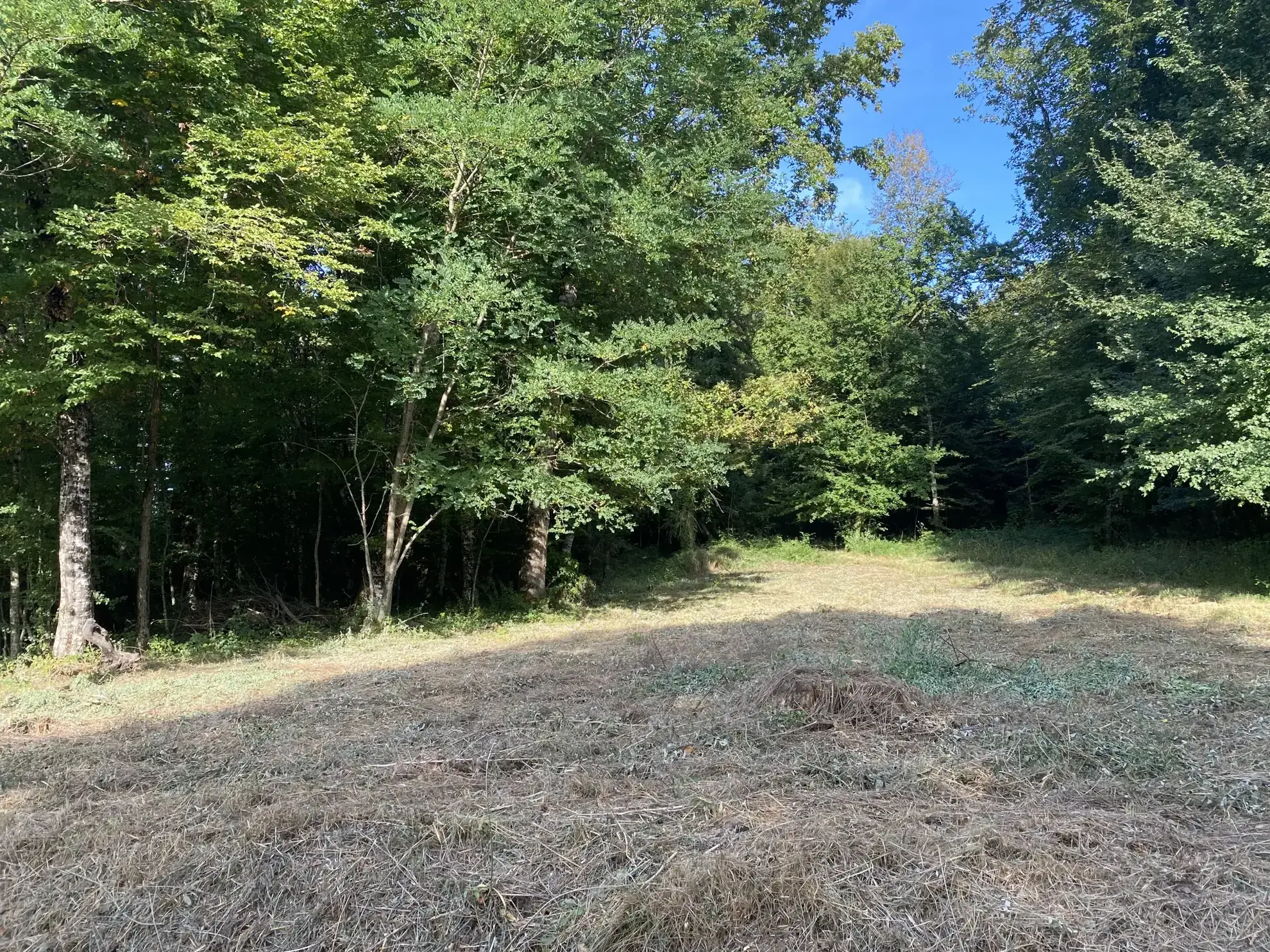 Terrain constructible plat de 2005 m² à Sarliac-sur-l'Isle en Dordogne 