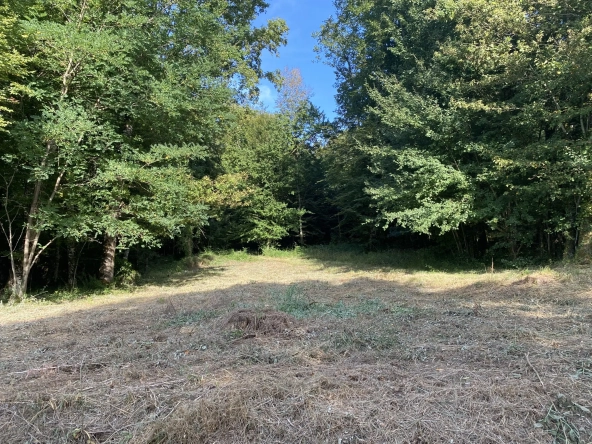 Terrain constructible plat de 2005 m² à Sarliac-sur-l'Isle en Dordogne