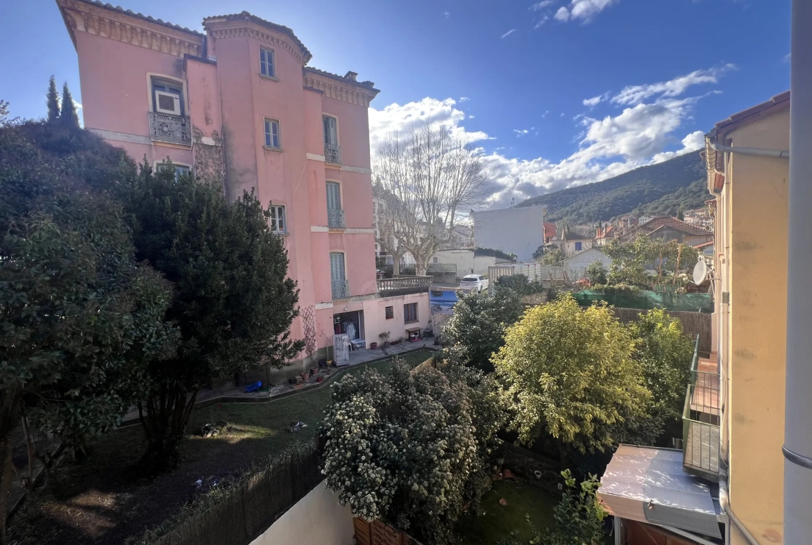Charmant F1 en centre-ville d'Amélie-les-Bains avec vue ensoleillée 