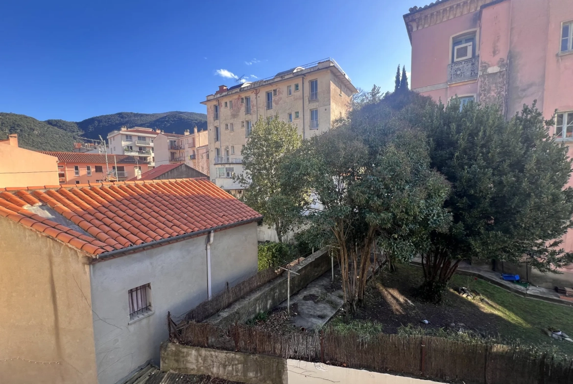 Charmant F1 en centre-ville d'Amélie-les-Bains avec vue ensoleillée 
