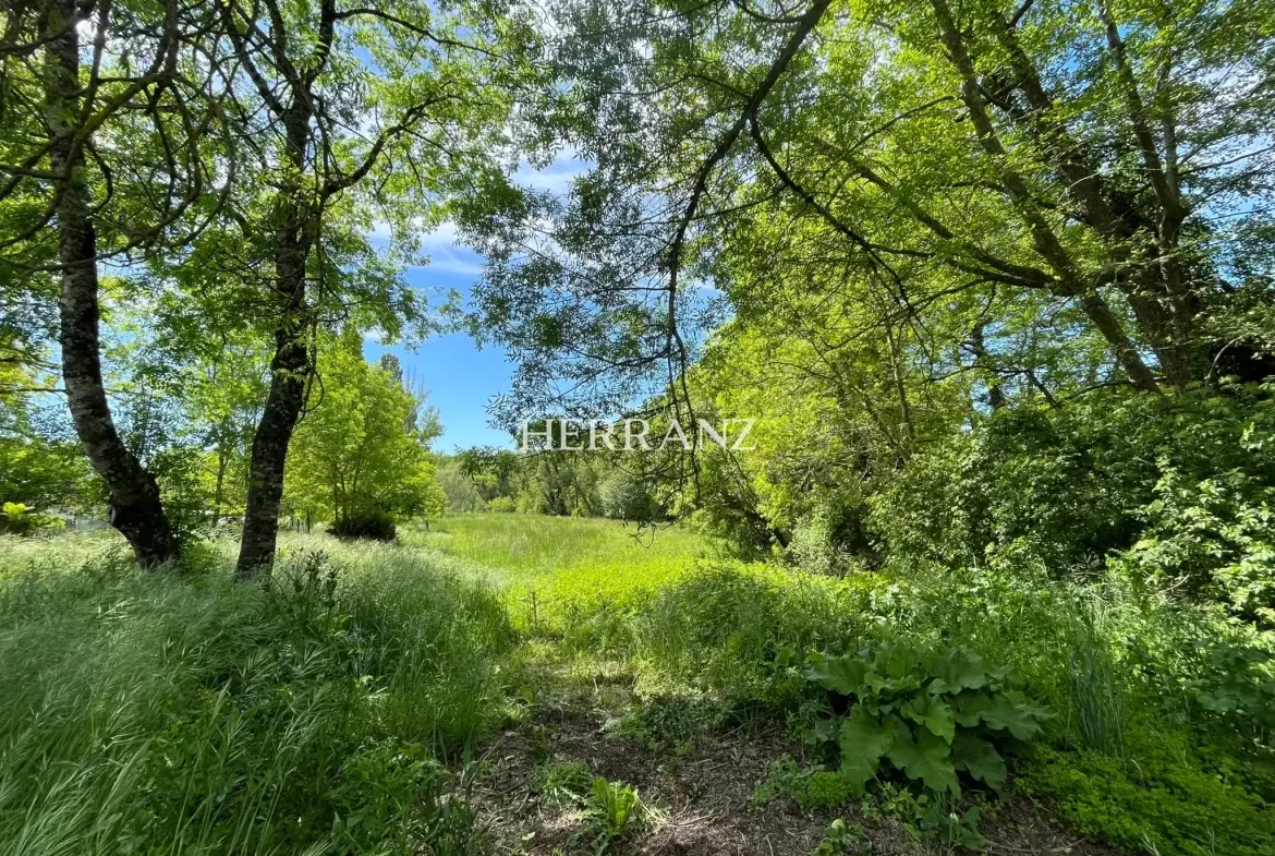 Charmante maison en pierre de 160 m² avec chais et grand terrain à Moulin-Neuf 