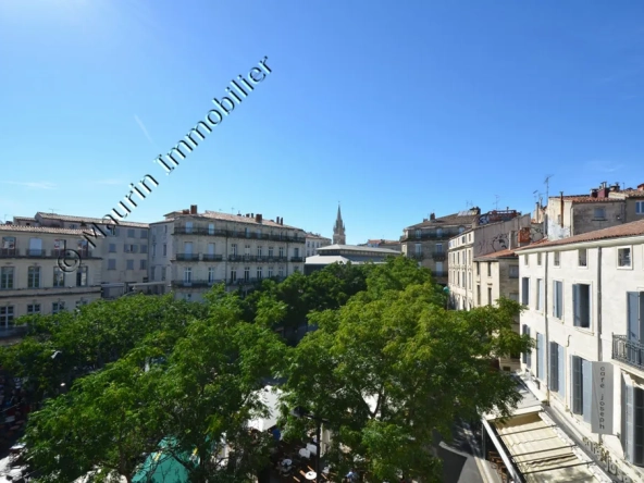 Appartement à Montpellier avec revenus locatifs et potentiel de réunification