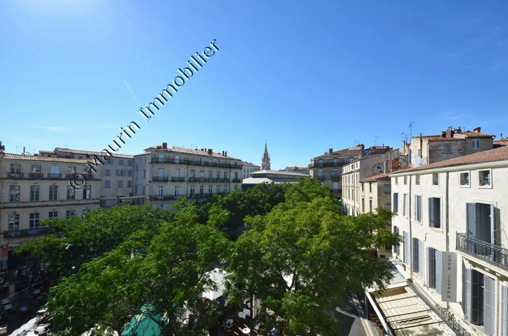 Appartement à Montpellier avec revenus locatifs et potentiel de réunification 