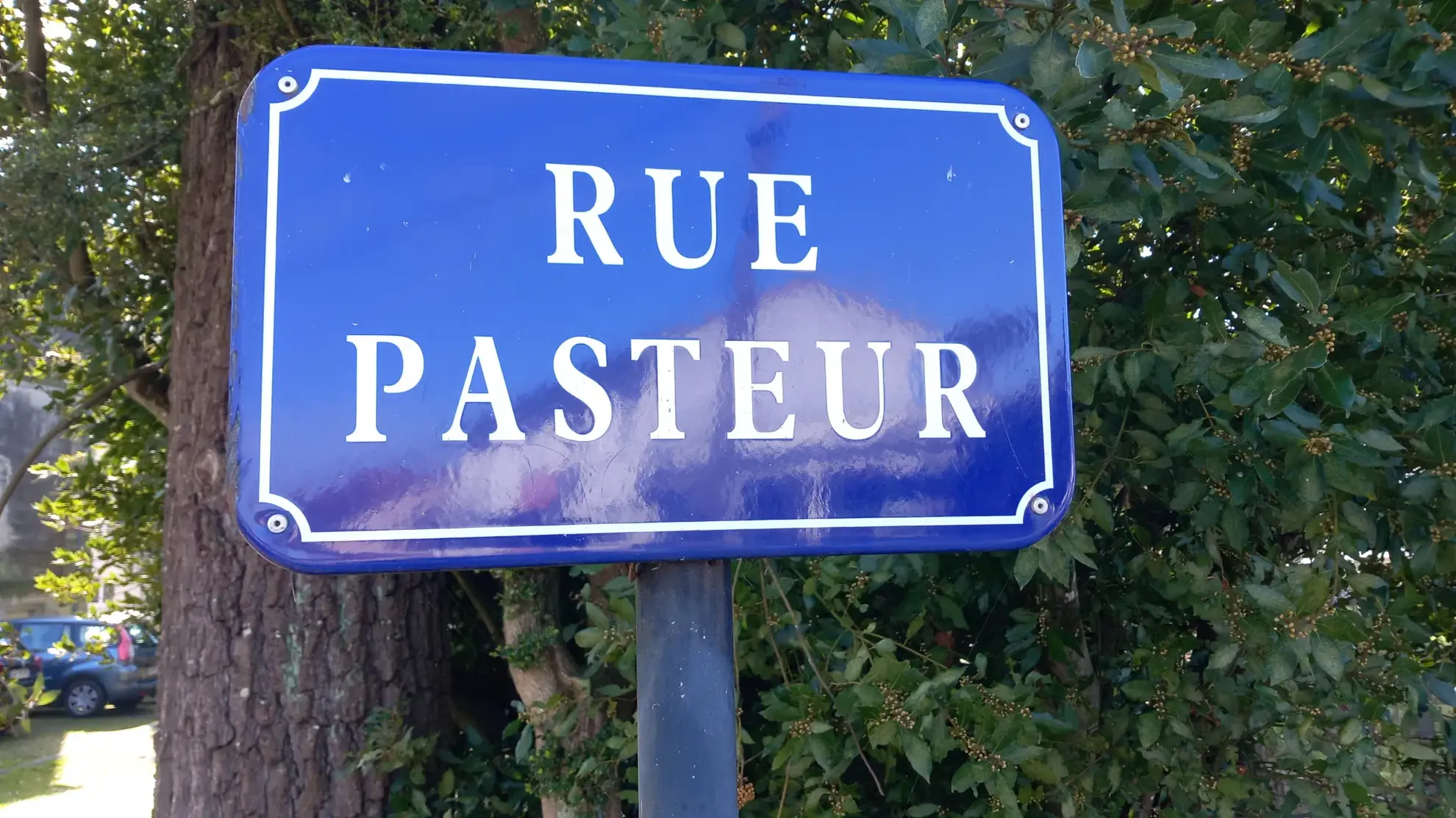 Appartement lumineux à Bordeaux Caudéran avec vue sur parc boisé - Idéal investissement 