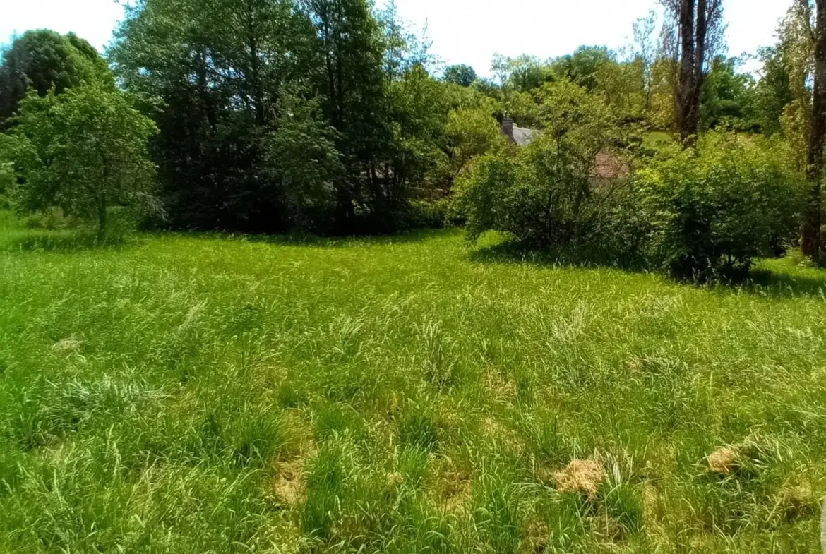 Charmante maison en pierre à vendre à Lormes, Morvan avec dépendances et jardin 