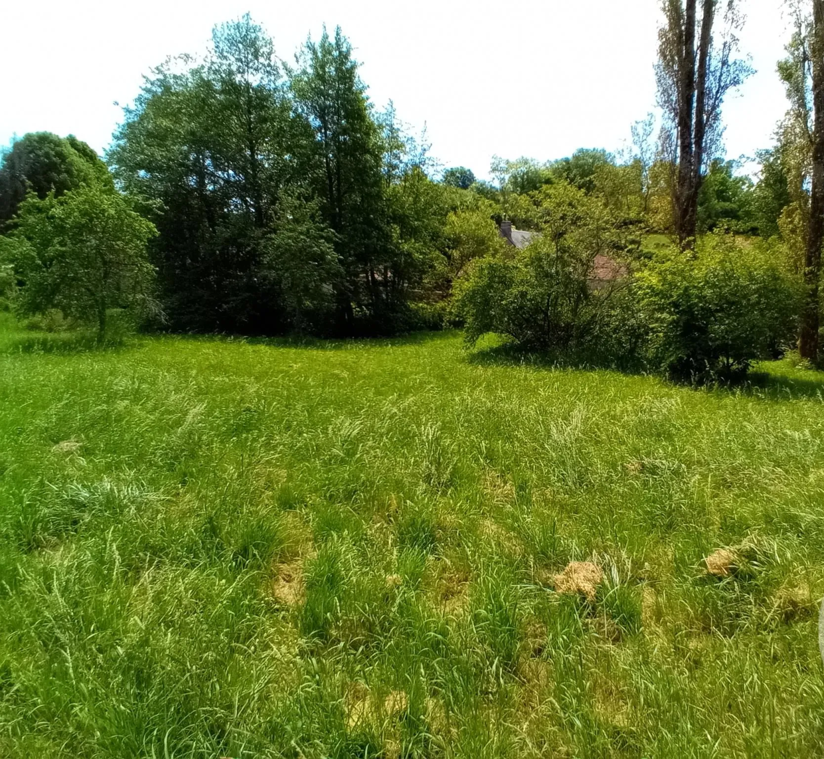 Charmante maison en pierre à vendre à Lormes, Morvan avec dépendances et jardin 