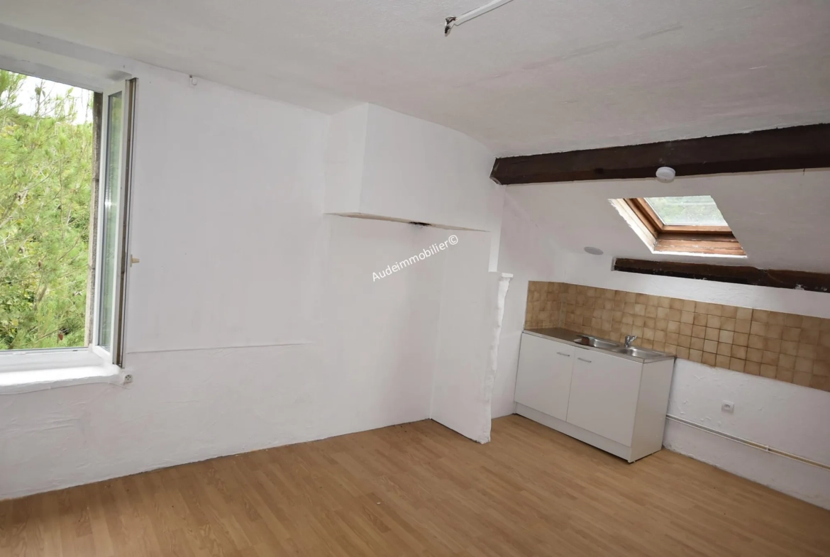 Grande maison modulable de 437 m² avec jardin et garages à Axat 