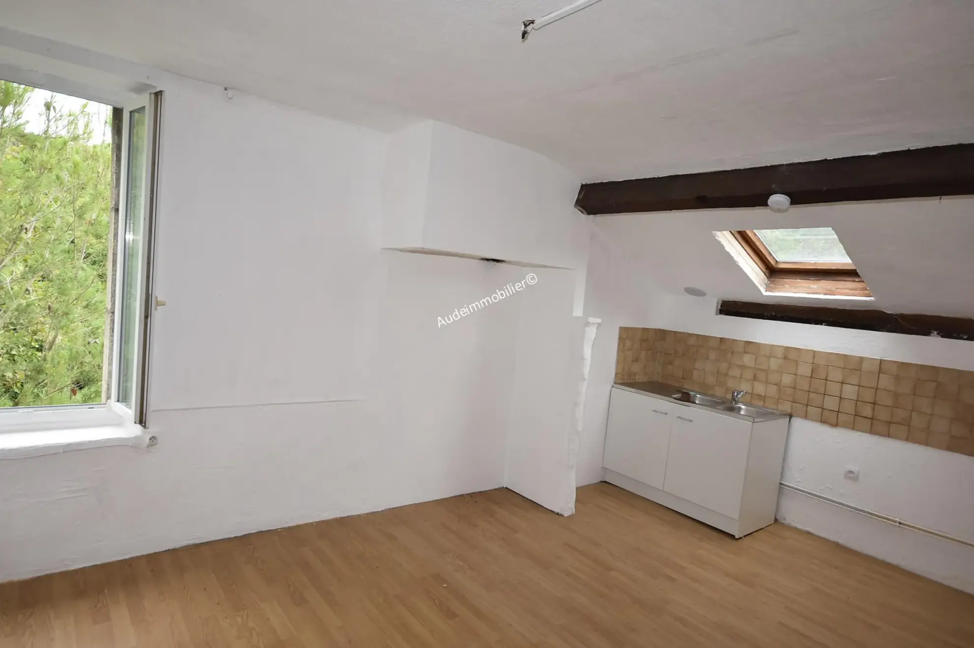 Grande maison modulable de 437 m² avec jardin et garages à Axat 