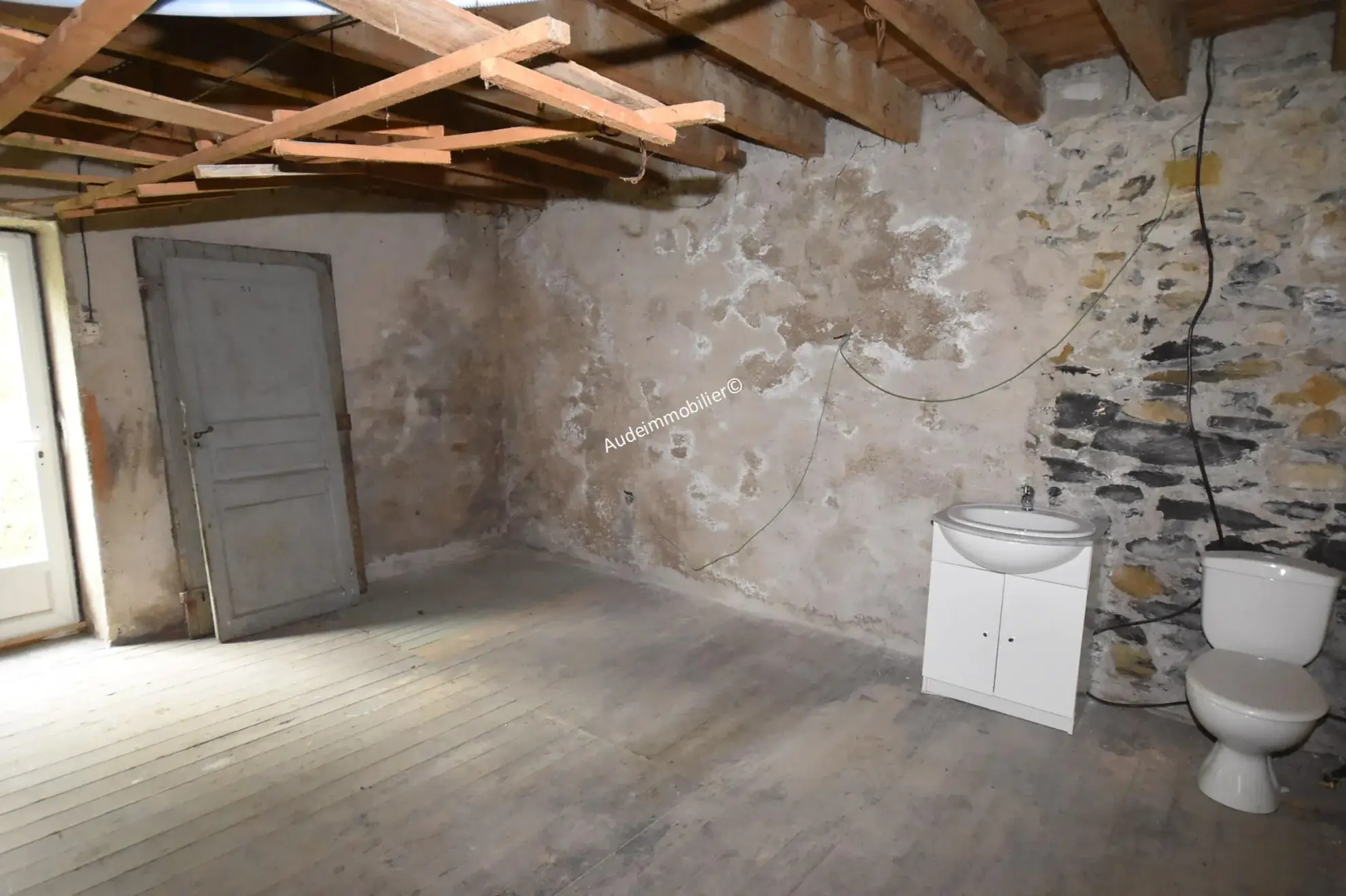 Grande maison modulable de 437 m² avec jardin et garages à Axat 