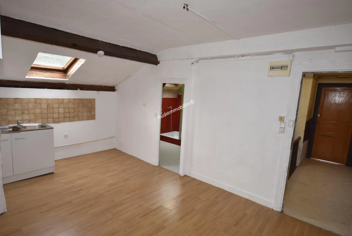 Grande maison modulable de 437 m² avec jardin et garages à Axat 