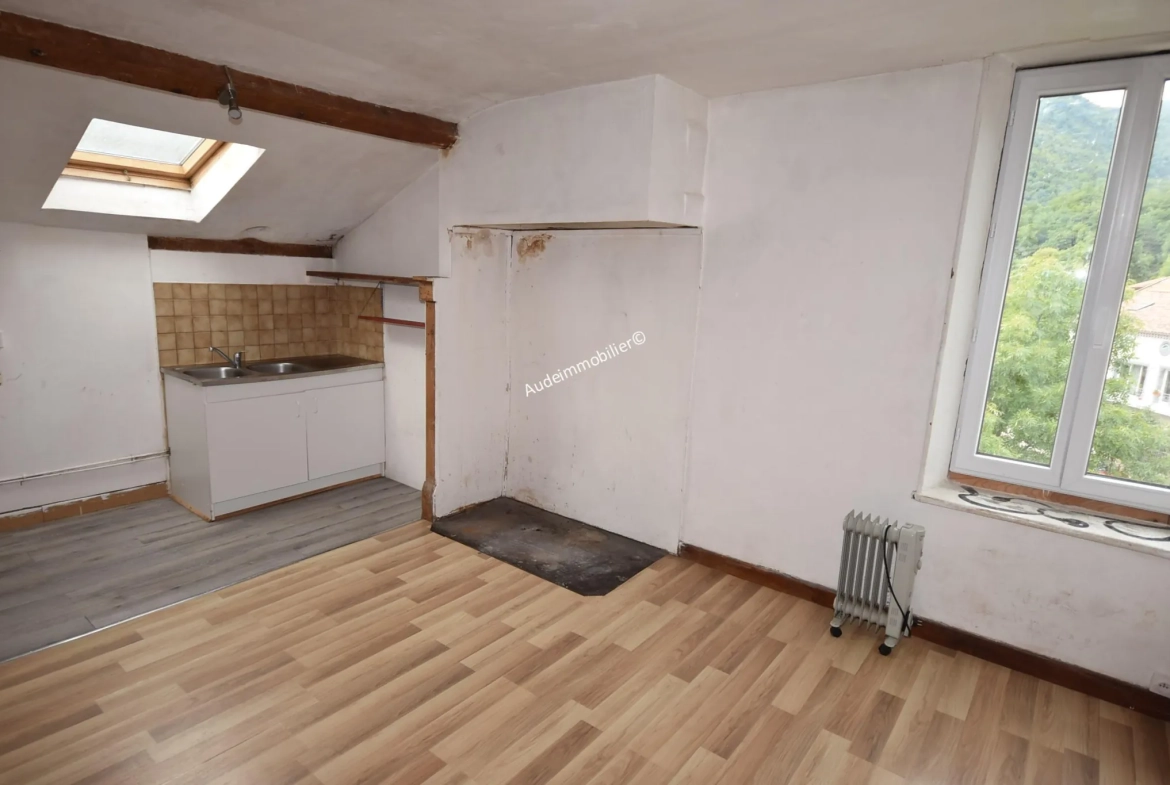 Grande maison modulable de 437 m² avec jardin et garages à Axat 