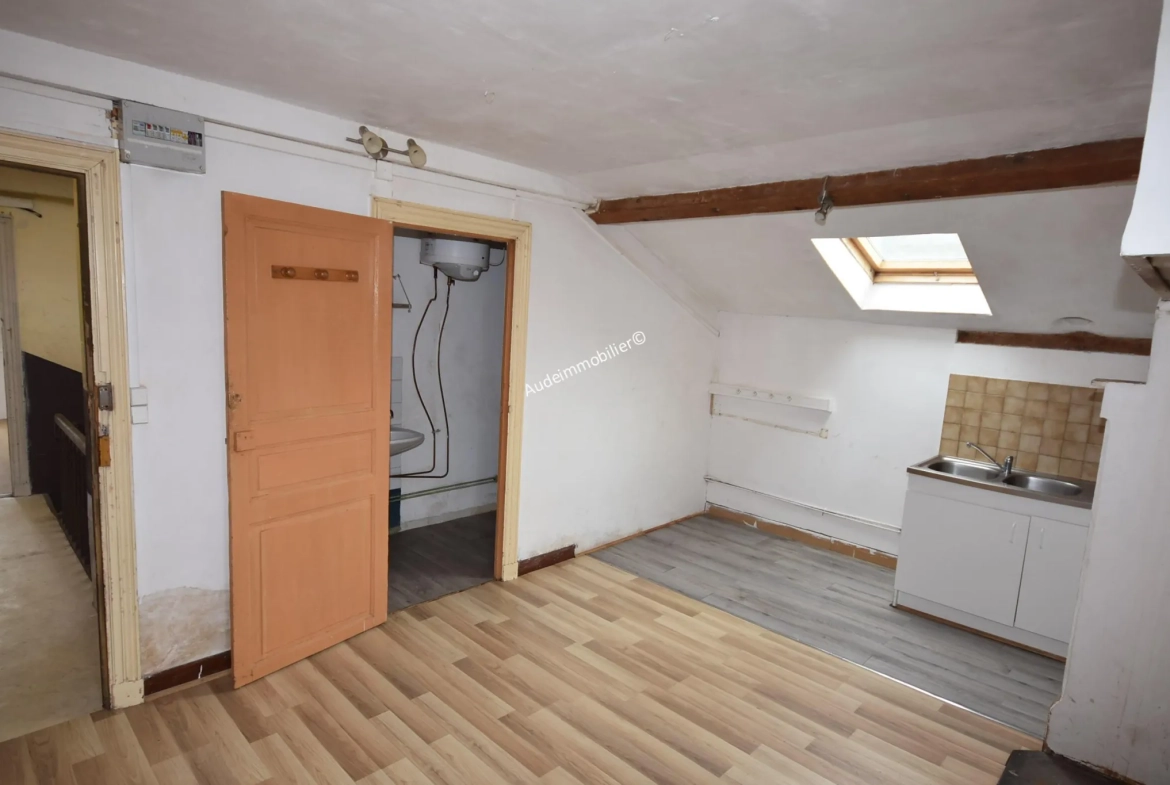 Grande maison modulable de 437 m² avec jardin et garages à Axat 