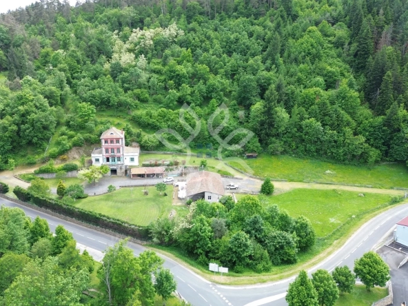Propriété avec maison de maître, plain-pied, appartement indépendant et grand terrain à Blesle 43