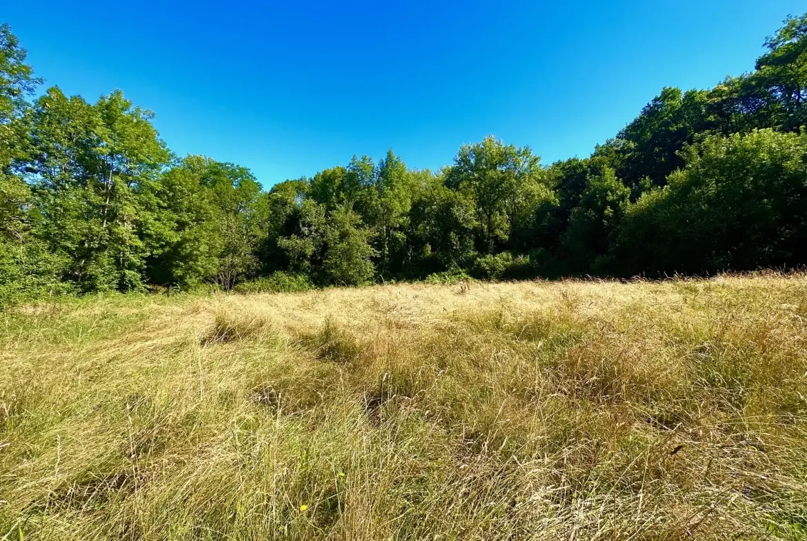Terrain de 2789 m² à Lourdes avec 800 m² constructibles - Secteur Sarsan 