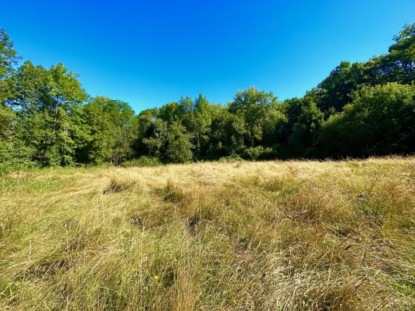 Terrain de 2789 m² à Lourdes avec 800 m² constructibles - Secteur Sarsan