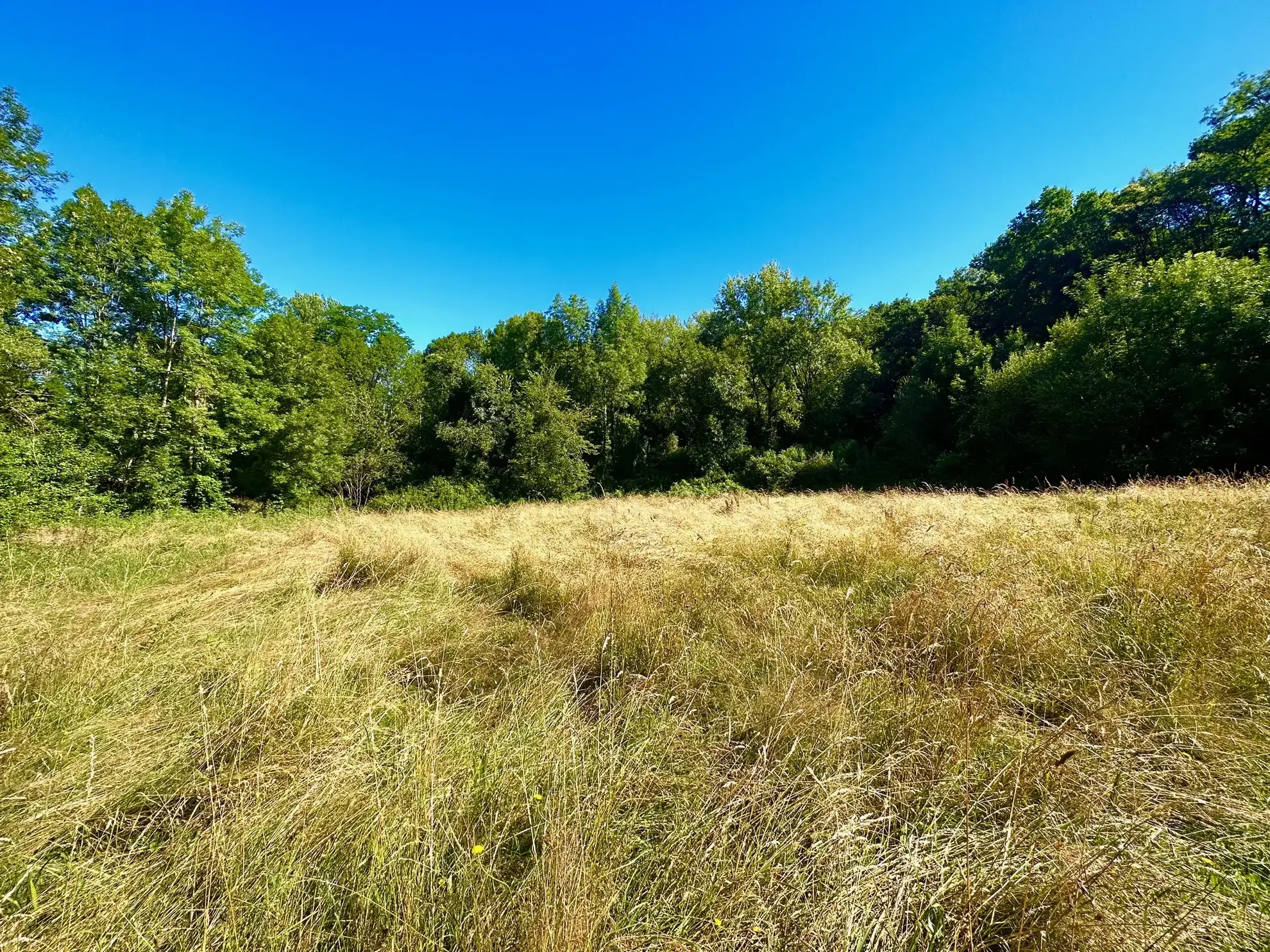 Terrain de 2789 m² à Lourdes avec 800 m² constructibles - Secteur Sarsan 