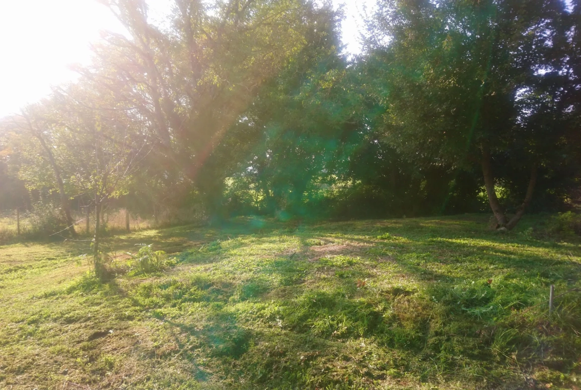 Longère rénovée de 190 m² avec annexes proche La Charité-sur-Loire 