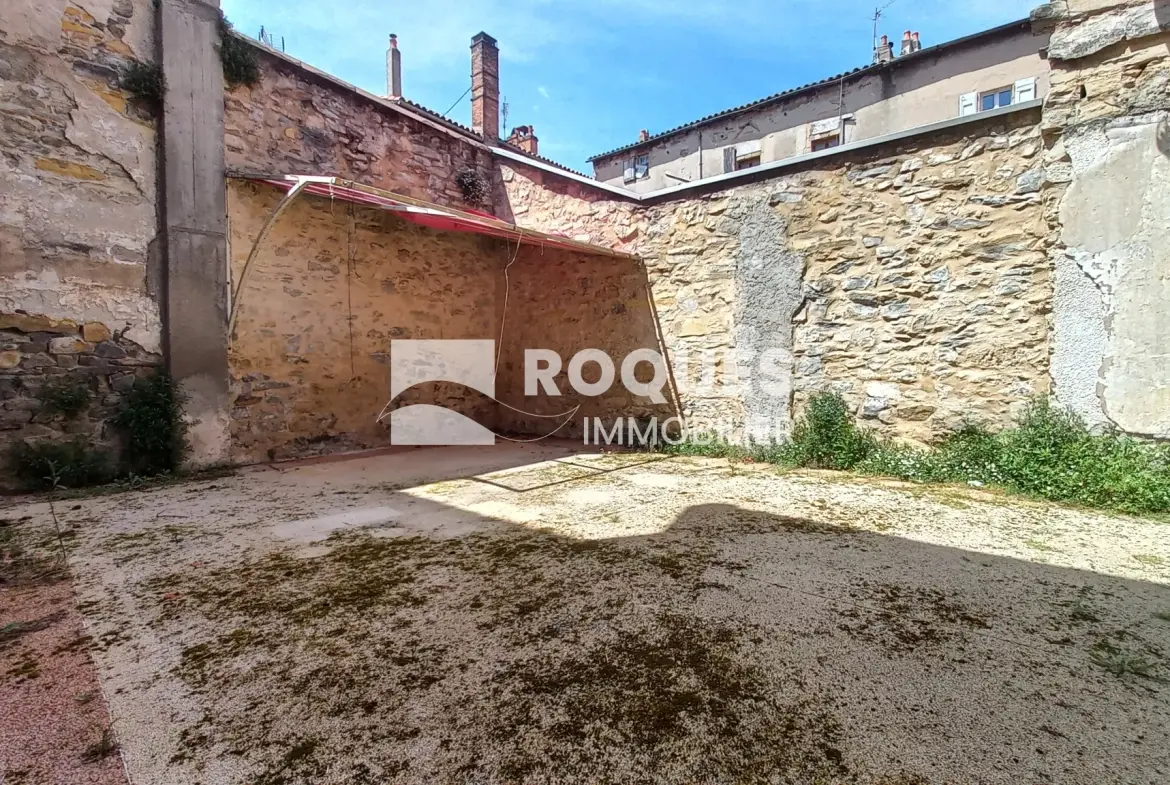 Achat Appartement T3 avec Terrasse et Caves à Millau 