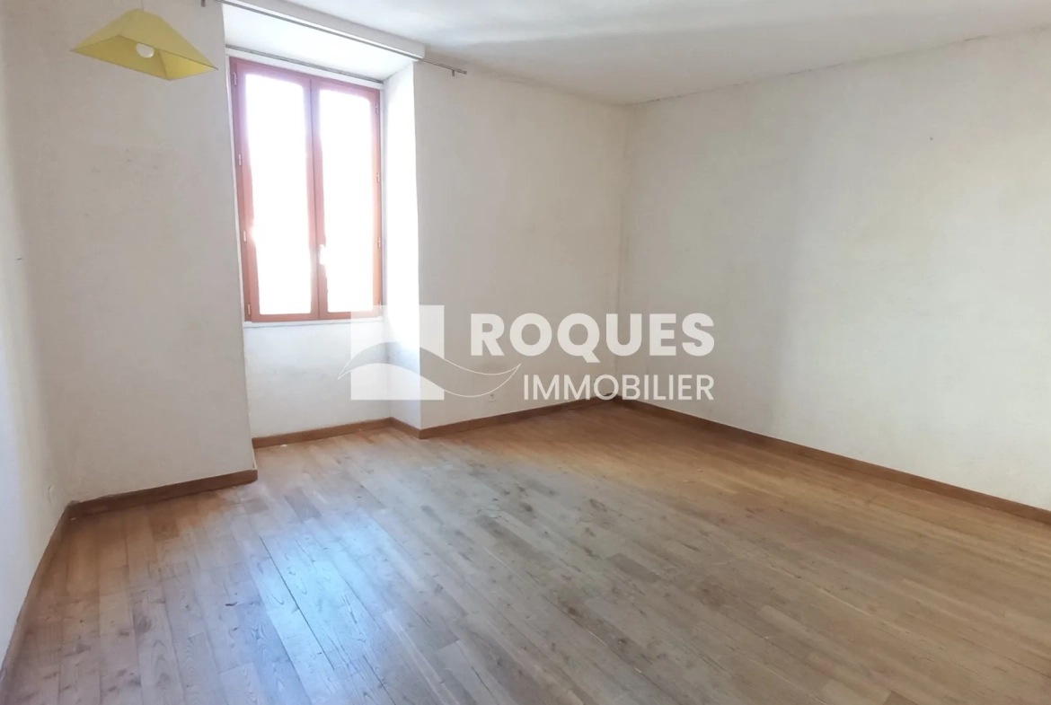 Achat Appartement T3 avec Terrasse et Caves à Millau 
