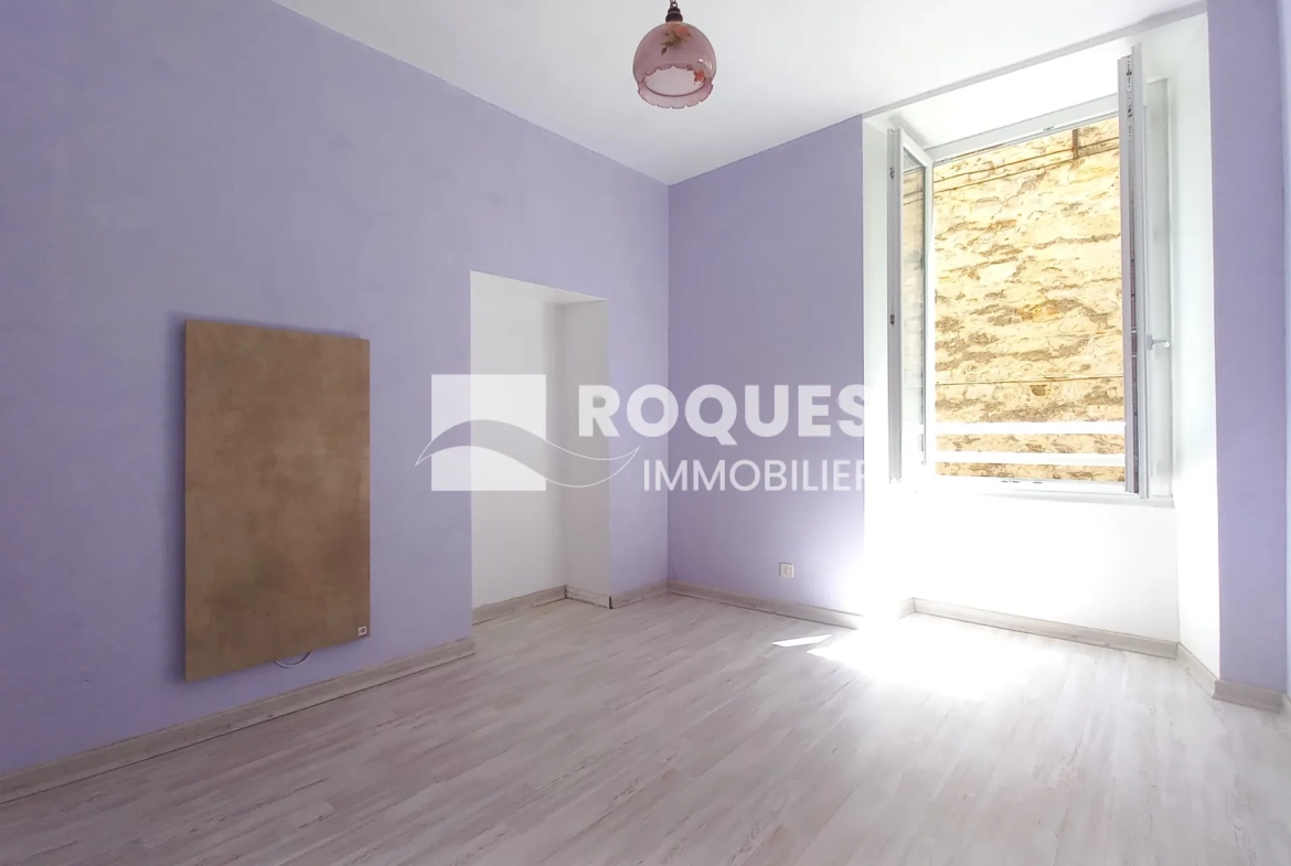 Achat Appartement T3 avec Terrasse et Caves à Millau 