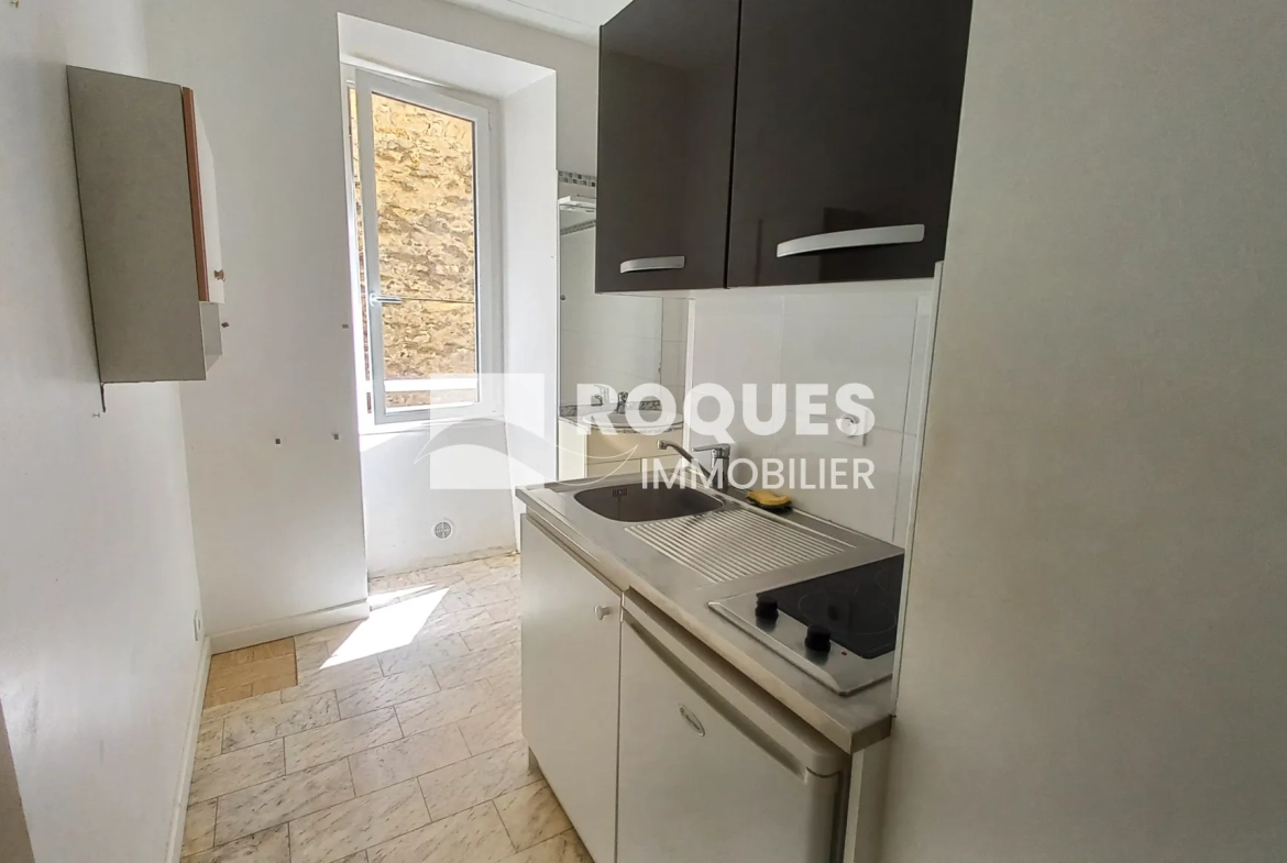 Achat Appartement T3 avec Terrasse et Caves à Millau 