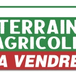 A vendre terrain agricole de 10 000 m² avec maison T5 à Montsinery-Tonnegrande